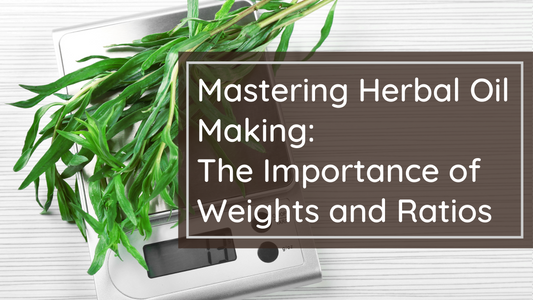 2: Mastering Herbal Oil Making: The Importance of Weights and Ratios