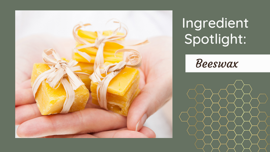5. Ingredient Spotlight - Beeswax