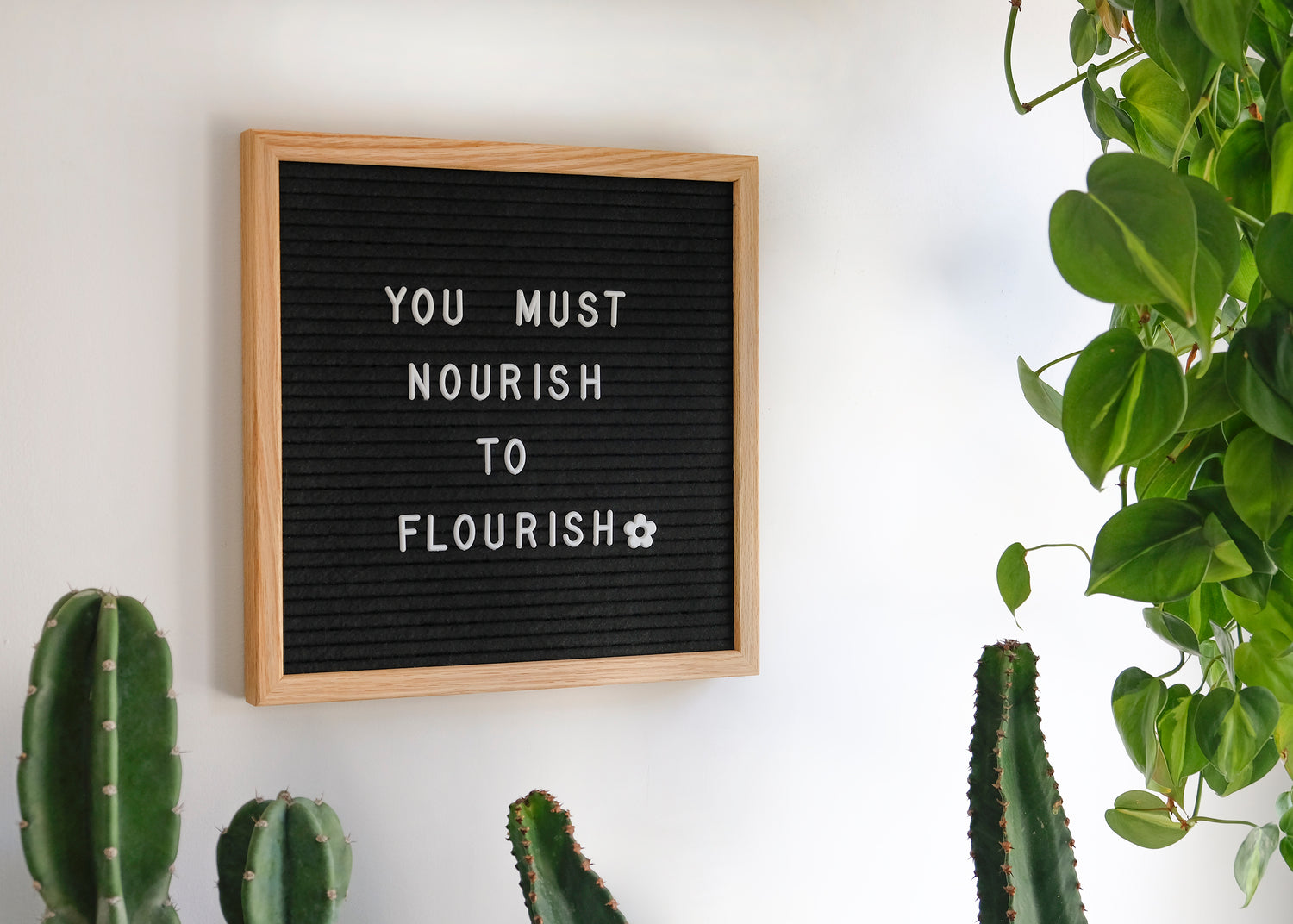 A bulletin board on the wall that says, "You Must Nourish to Flourish" and there are plants around it.