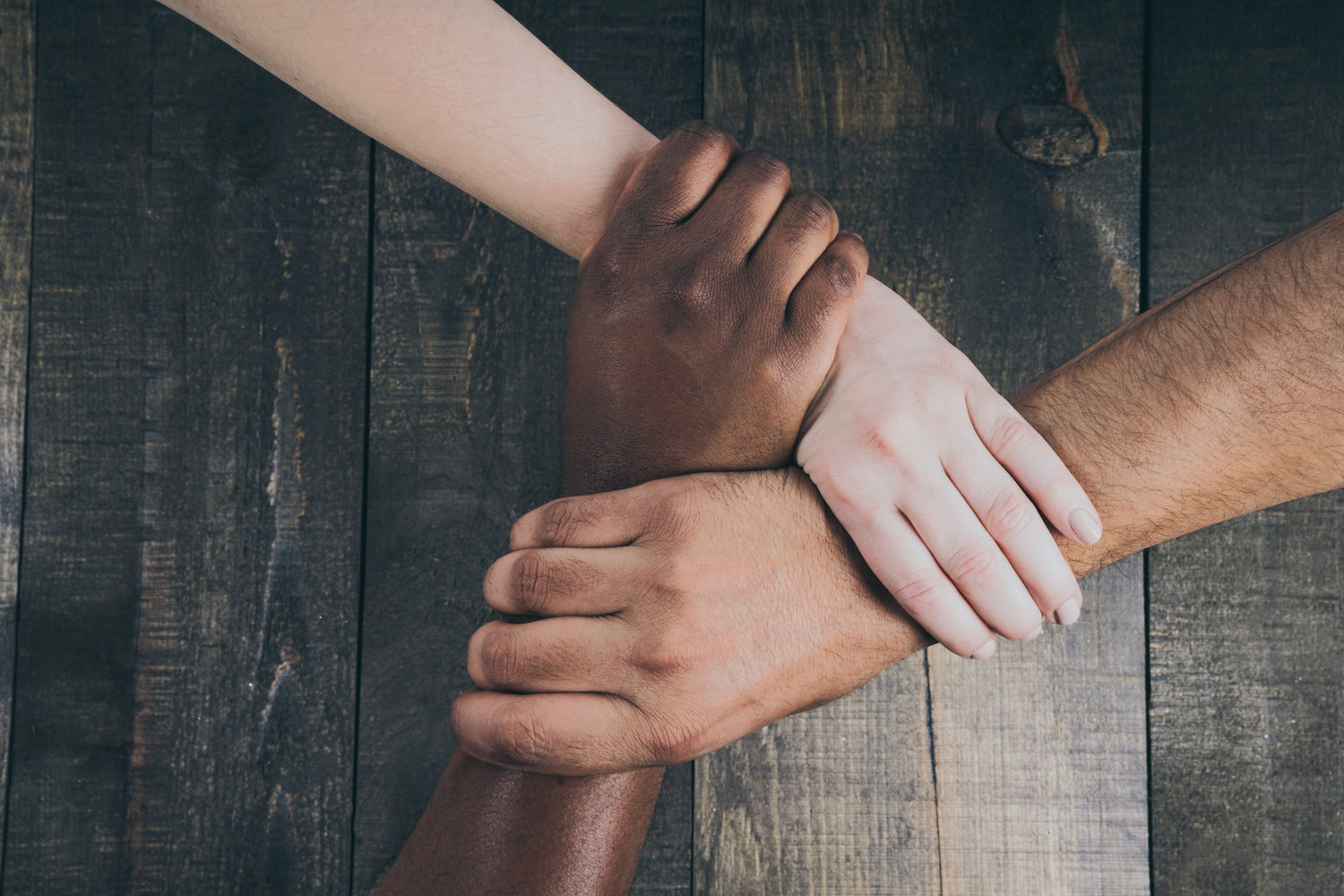 Women of different races clasping each others wrists to symbolize community